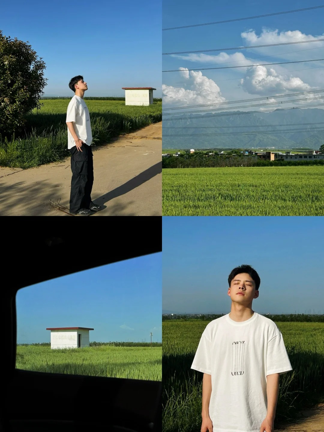 麦田里的风是自由的