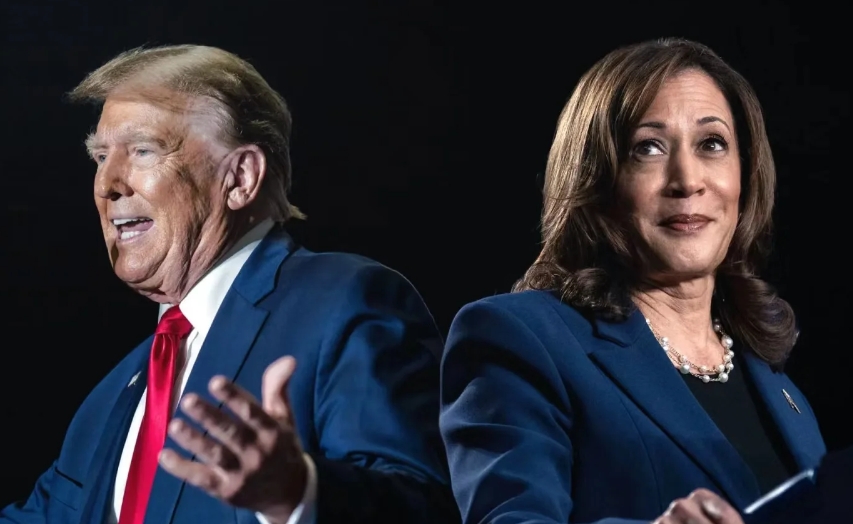 民调专家称如果美国大选投票率低，民主党可能会受益。

西尔弗谈到，如果总体投票率