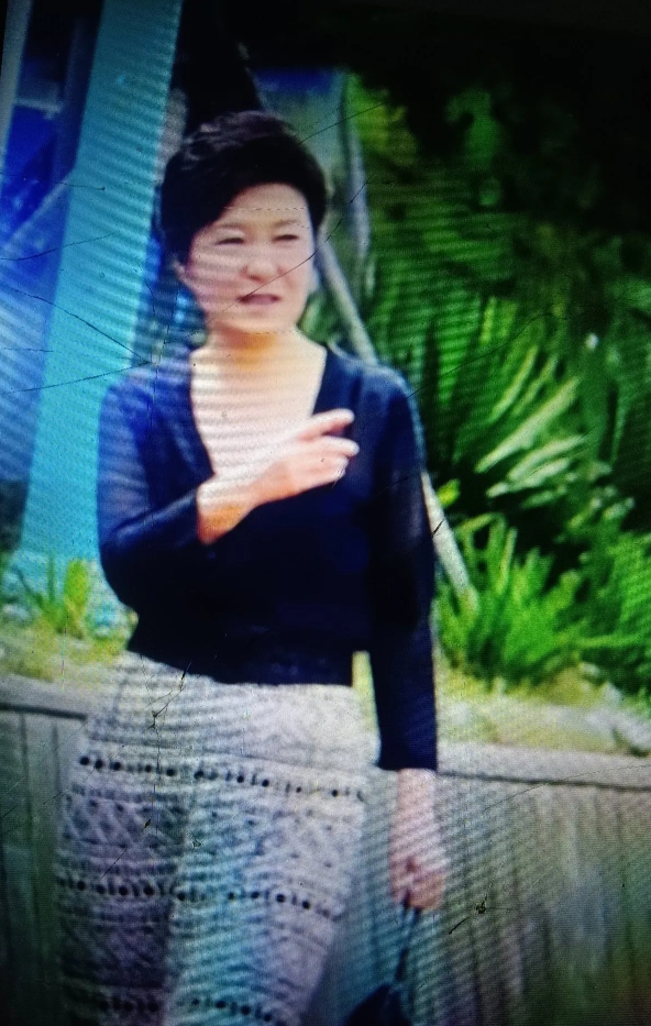 韩国不但总统换来换去，而且美女也多，看看这二位，一位是前总统朴槿惠，另一位是韩国