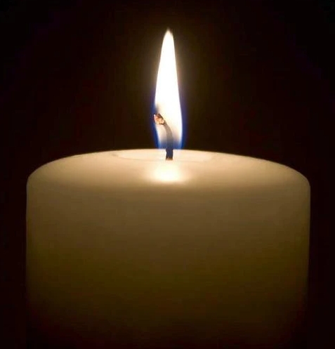 胖猫其人。

原名，刘杰

性别，男

网名，胖猫

年龄，21岁

爱好，网游