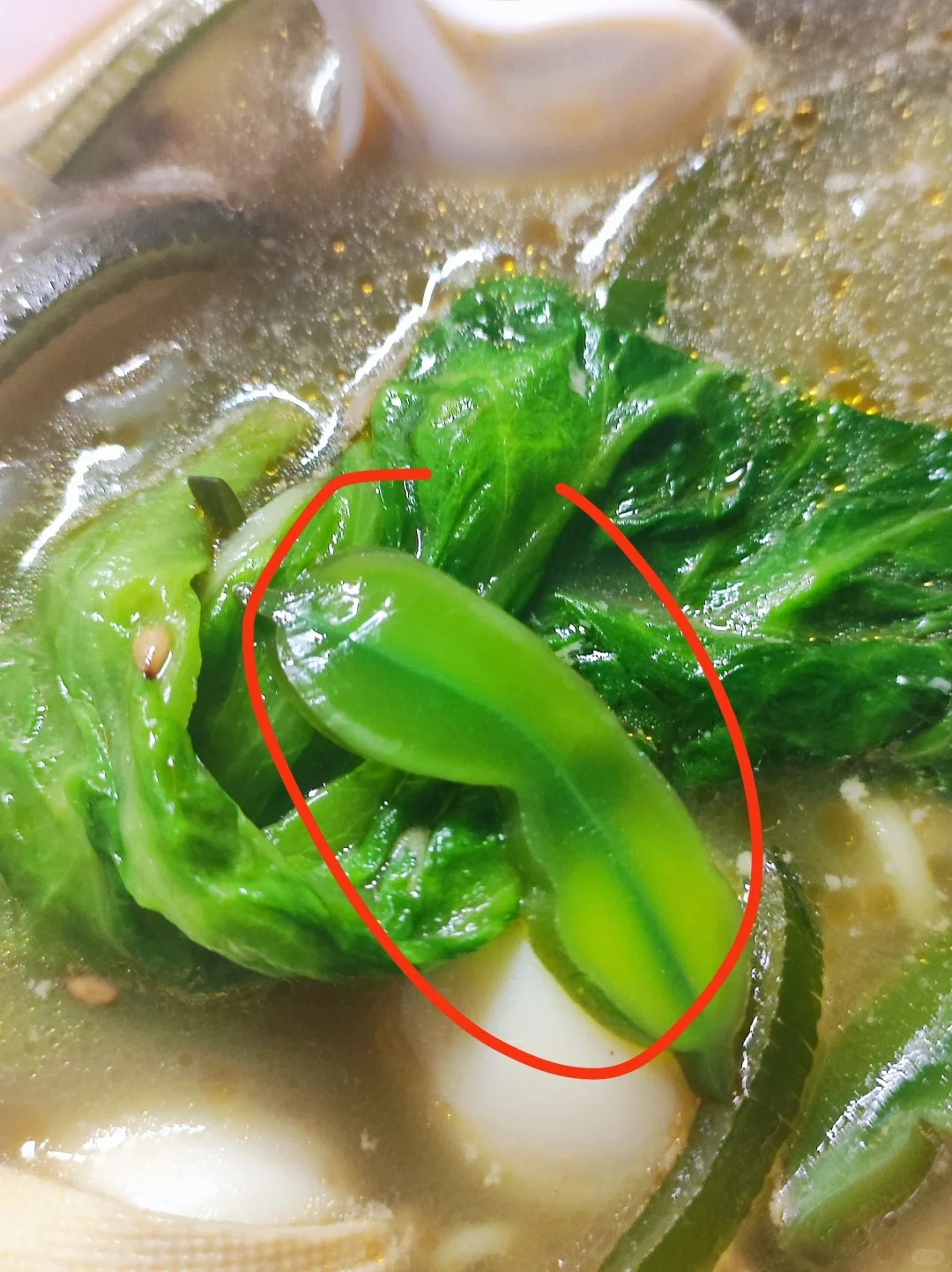 有没有哪位网友知道这叫啥
麻辣烫加的小料感觉还挺好吃的，就是不知道叫啥名字，有没