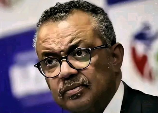 谭德塞的“双标游戏”该结束了！中国反击的底牌远比想象中锋利！ 

当某些人披着“