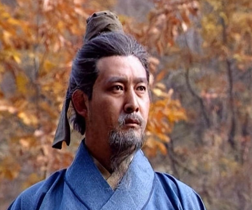 公元263年，三国争霸的烽火燃至最后篇章。蜀国大将姜维连年北伐，却未能取得寸土之