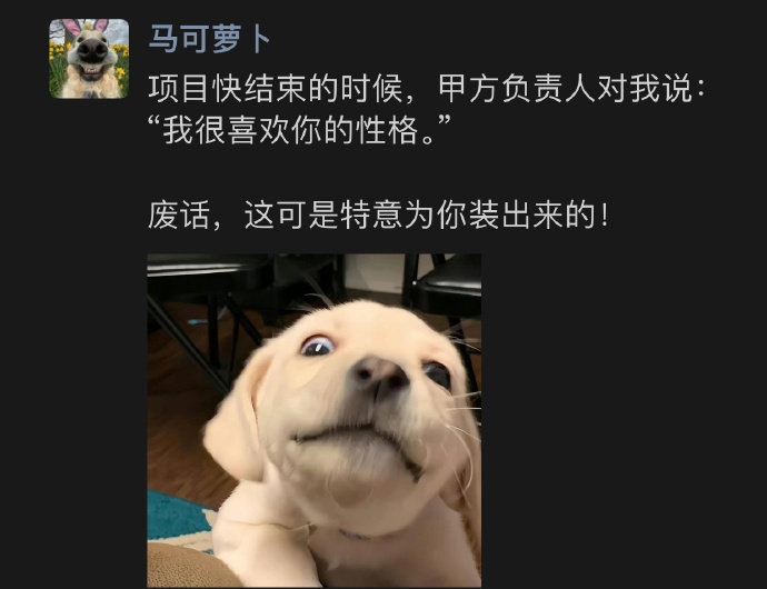 我的人设是为甲方专属定制的