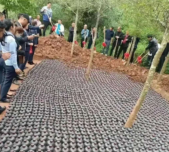 我敢说，10年后这酒基本没用了。