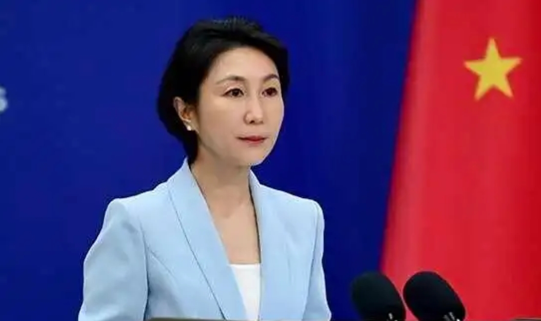 中方首次检测通过？日外相访华催中国解禁，中方：没那么简单   