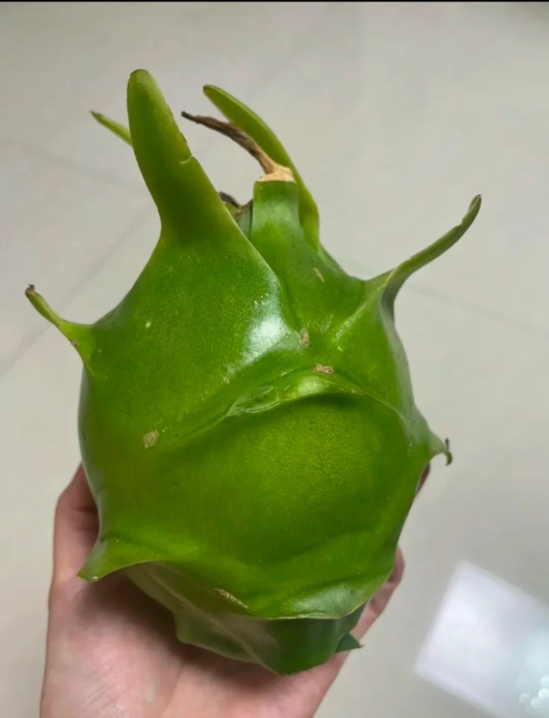 新品种吗？
有没有人来科普一下的