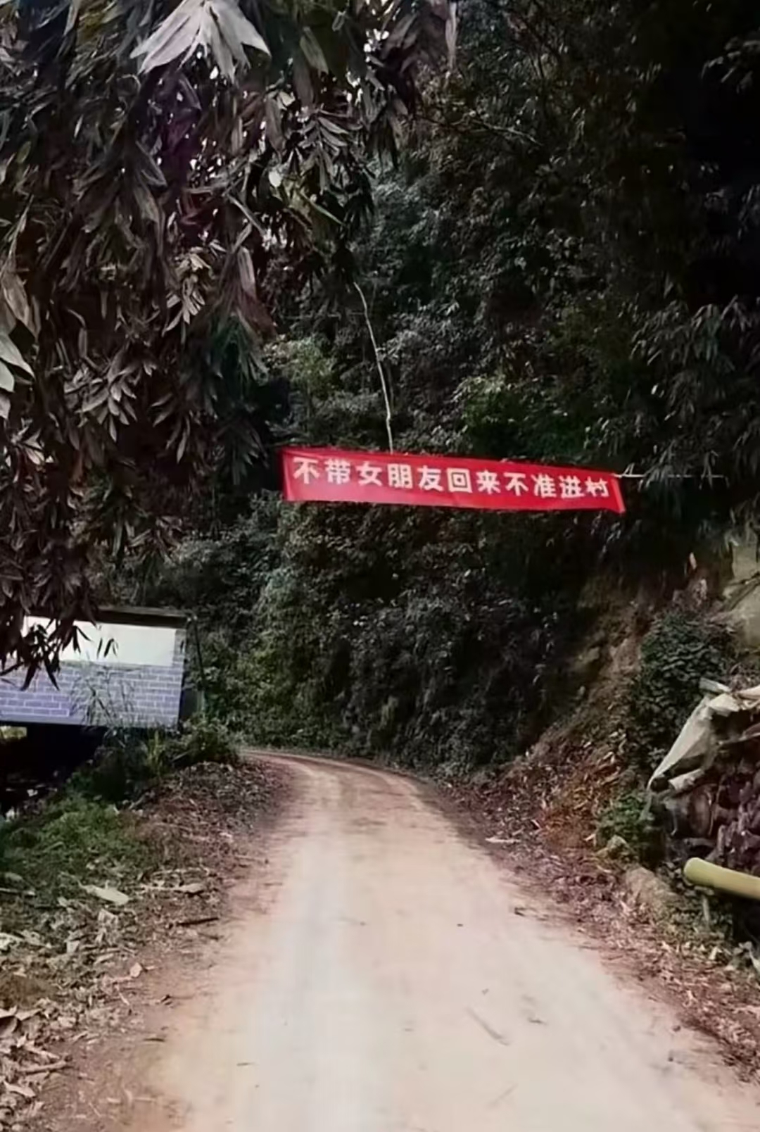 出来的时候好好的，回不去了
