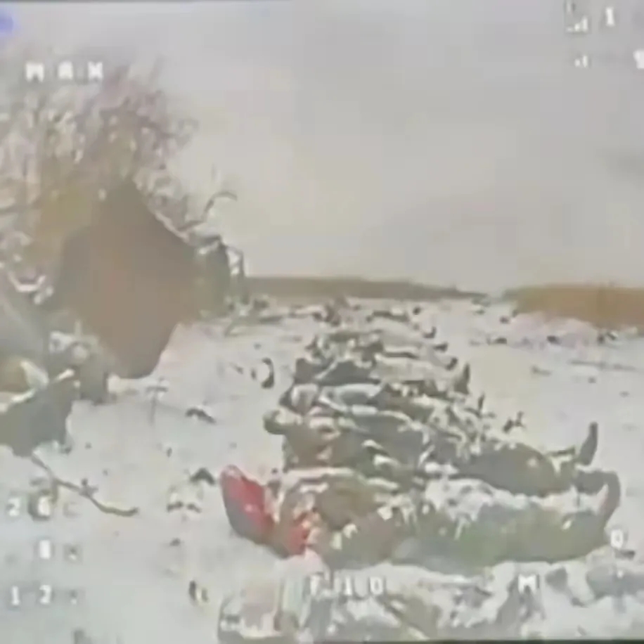 乌克兰无人机画面露出，有大量士兵阵亡在雪地上