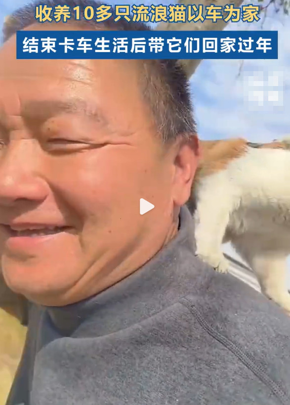 58岁卡车司机，带15只流浪猫回家过年，可能引起的安全隐患不容忽视