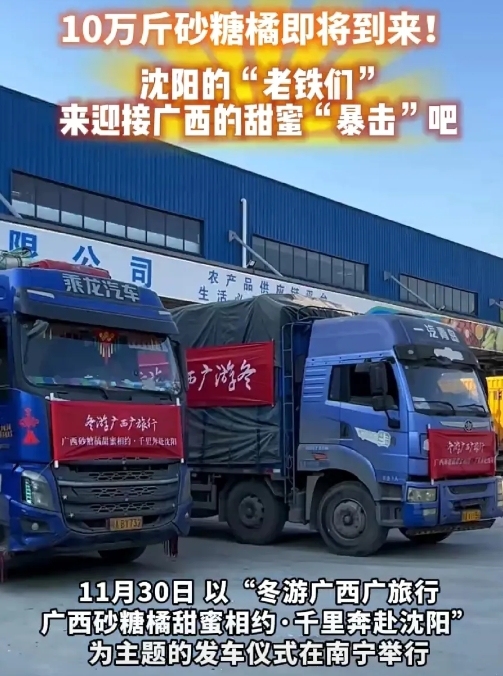 广西砂糖橘又去东北了，10万斤广西砂糖橘，跨越3000公里，从南宁、百色西林出发