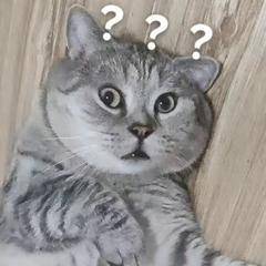 #韩国第一夫人消失100天非常不寻常#
倒也没必要这么关心其他国家的王妃[允悲]