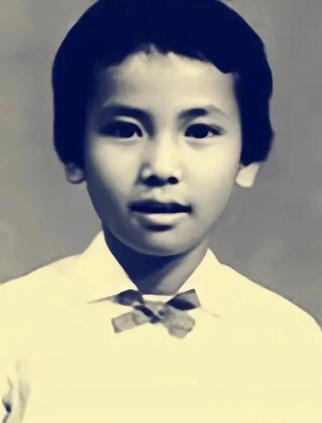青白两蛇各有宿命——陈美琪的爱与痛