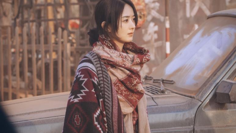 失去爱情的赵丽颖，如今只想呵护“想想”