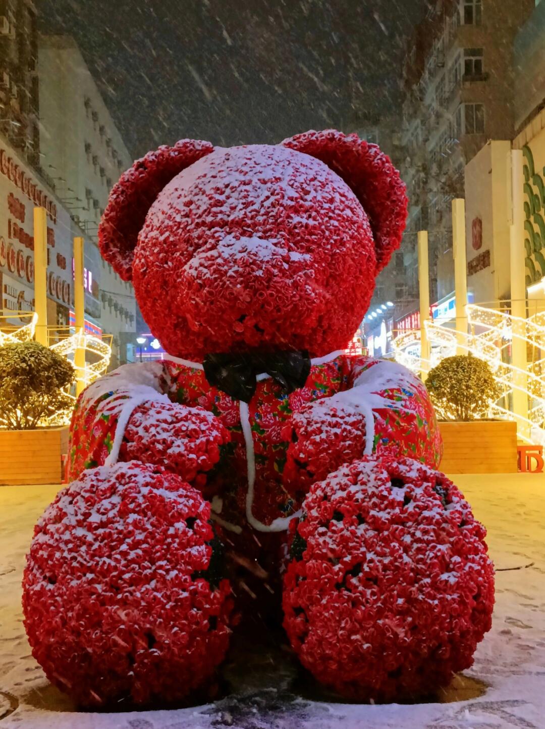 这泼天雪的浪漫终于轮到青岛了🌹