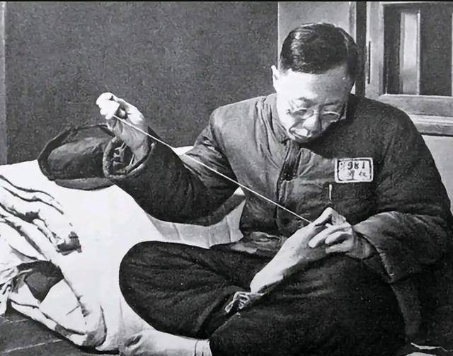 1950年，志愿兵出征朝鲜，全国人民纷纷捐款捐物。末代皇帝溥仪听闻，左思右想之后