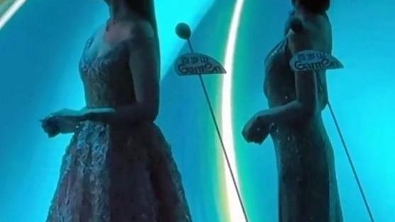 白玉兰这一晚，“膀大腰圆”的刘亦菲，衬的万茜跟小鸡仔似的！