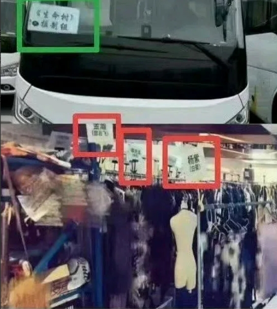 我都替紫米姐姐们感到丢人