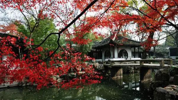 金秋苏州，一场关于色彩与故事的旅行