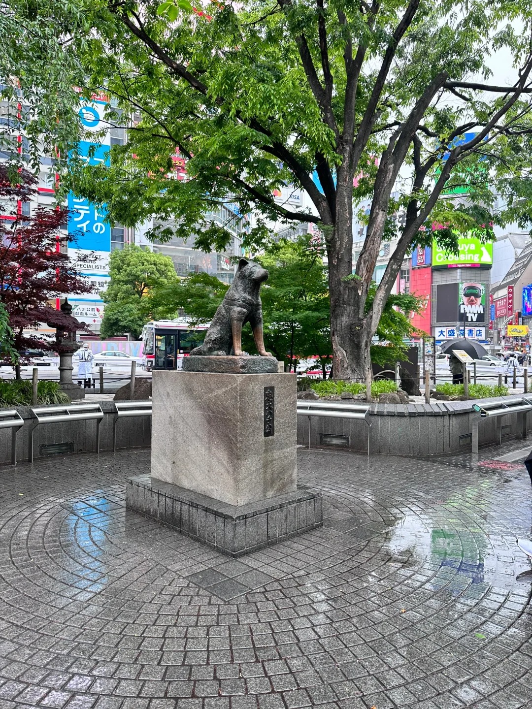 为什么日本人不用折叠伞
街上全是直柄雨伞🌂，连套雨伞的袋子都只有长条的