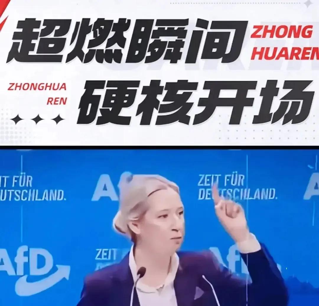 最近德国政治大变，魏德尔这个新候选人直接说，德国得摆脱美国影响。她说德国应该先考