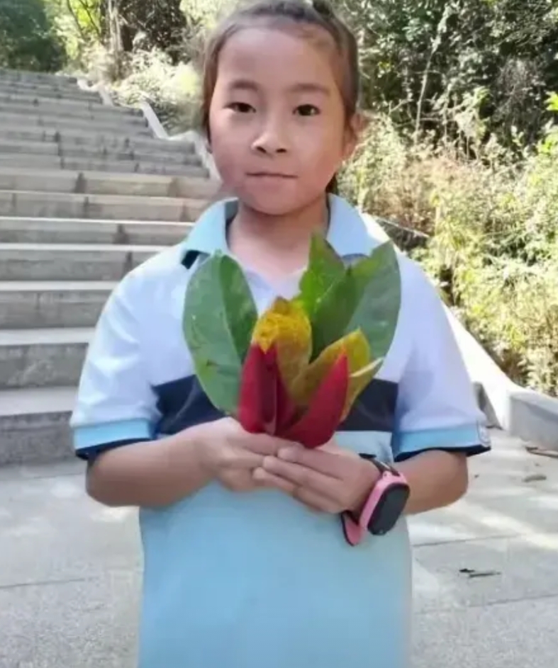 孩子失踪的第六天，舅舅带来关键信息，打破了孩子失踪10分钟的传言，实际仅3分钟孩