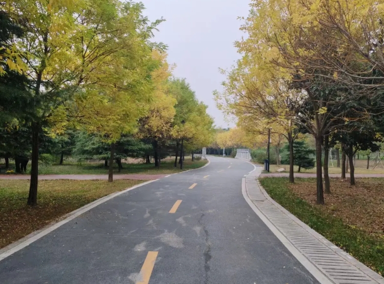 一个学生家长到班里把自己家孩子打了一顿，说天天陪送，结果考试倒数第一，我想对那个