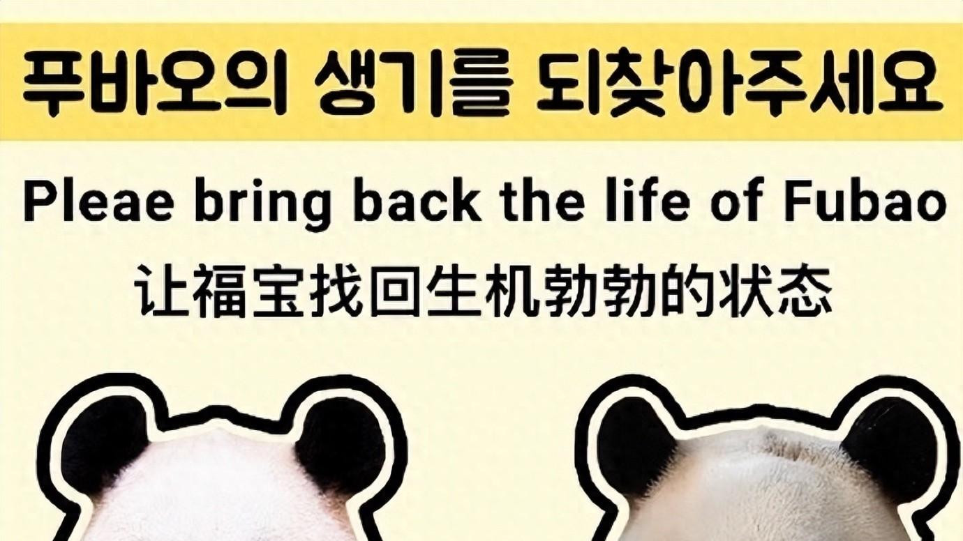 中国熊猫吃剩的瓜皮不要扔，西八们一看到，没准连熊猫都不想偷了