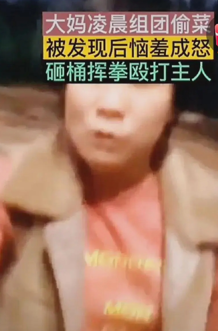 就没有见过这么厉害的贼！
大妈偷菜被发现！恼羞成怒，扑上前去殴打菜农！
这是一年