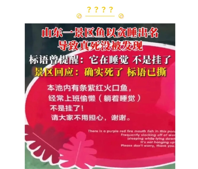 这是什么迷惑行为啊