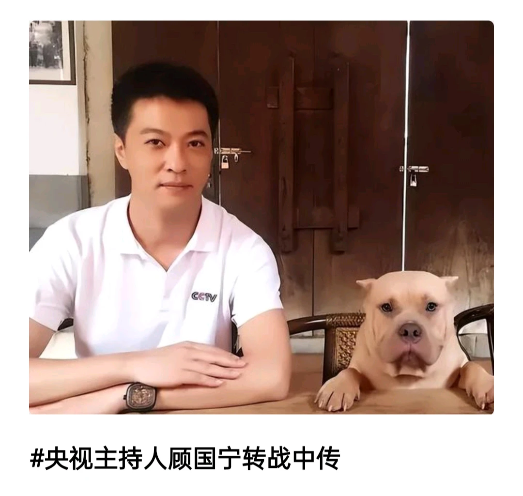 难以置信，真的令人难以置信。