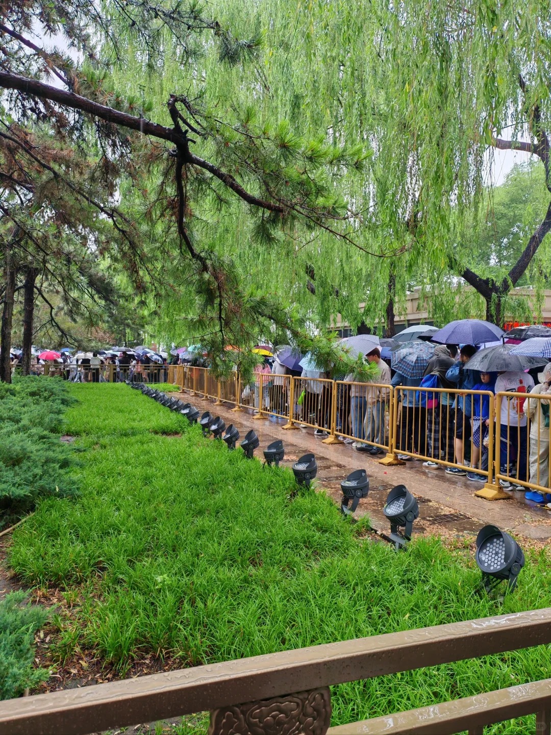我宣布，国博现在是北京第一网红
大雨哗哗的，依然阻挡不了执着的人们