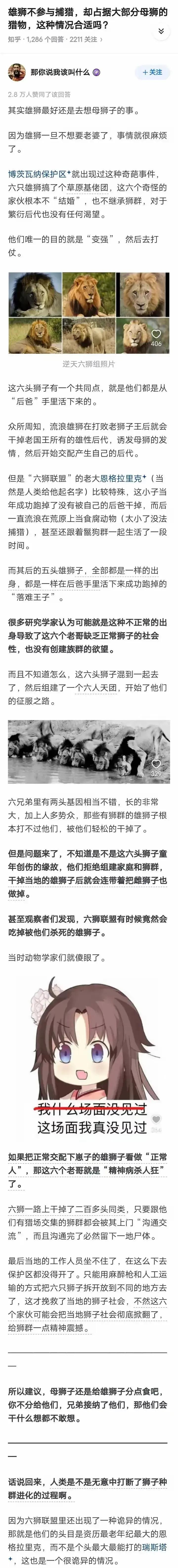 剖析！博茨瓦纳保护区那六只雄狮组成的“草原基佬团”，一路干掉二百多头同类，所到之