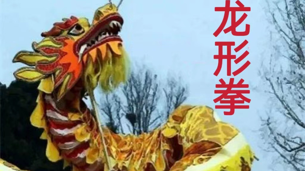 独步天下的《龙形掌》