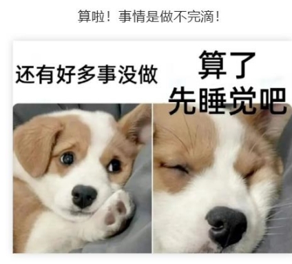 还有好多事没做