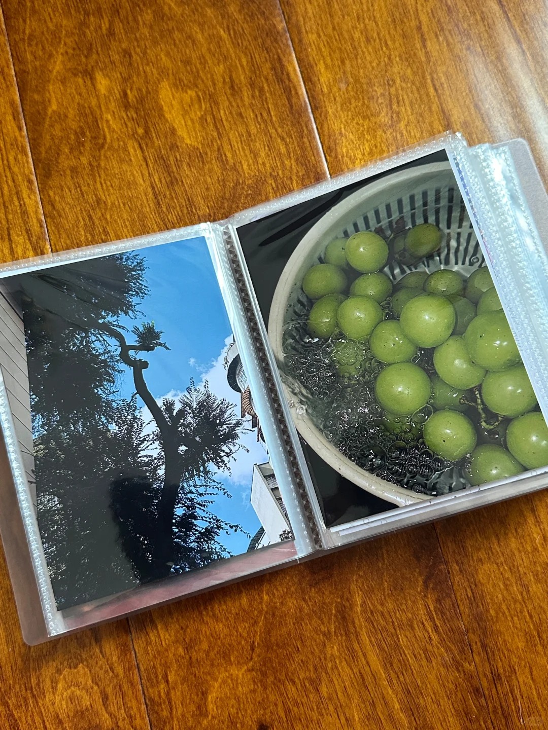 用dazz拍的照片做成了相册