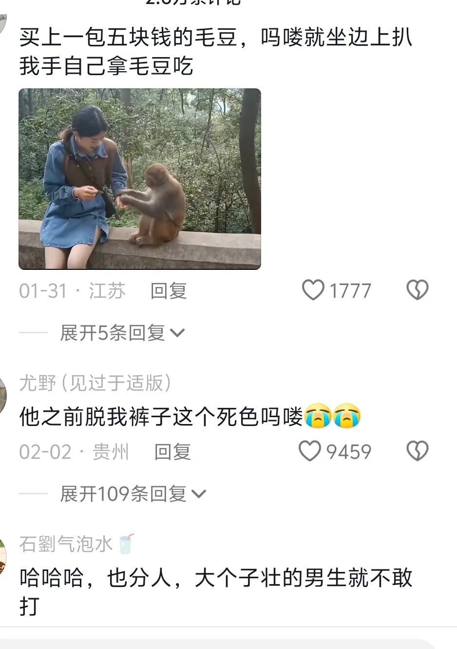 贵州黔灵山吗喽有点善良 但不多
说他善良吧，他会把猫包里面的猫放出来，再拿猫包追