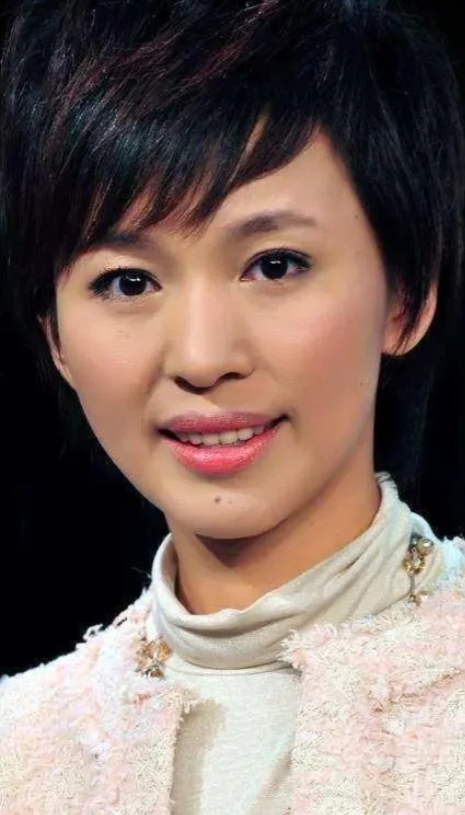 欧阳夏丹的职业历程