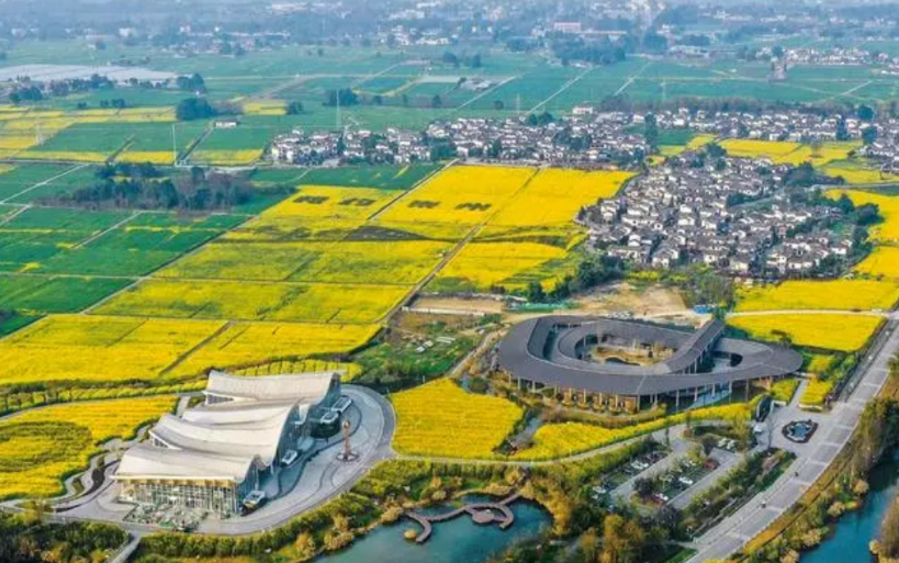 四川省大学排名“大调整”！川农大第5，成都理工第7，川师大第9
四川省大学排名发