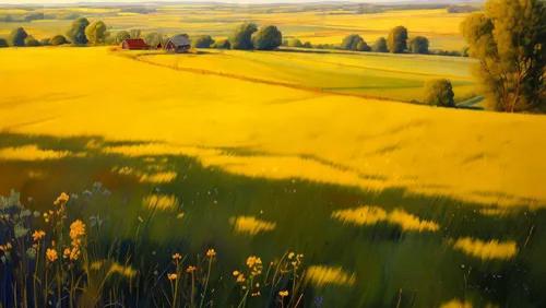 乌克兰央行展望2025：外汇储备预计达***亿美元