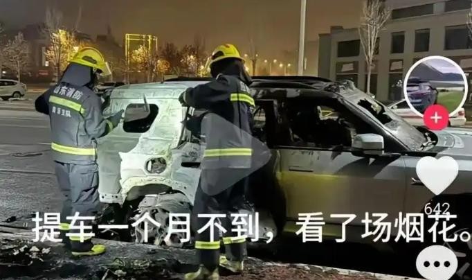 在山东的一次意外中，一位名为张先生的车主经历了一场让人无奈的“熊孩子”事故：他的