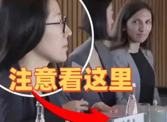 美国国家安全助理沙利文来华访问，与中国进行战略谈判，随行人员就带了一些美籍华人，