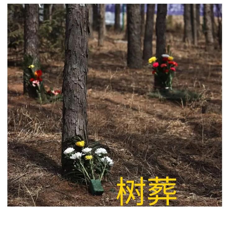 “大S徐熙媛真是可怜，一双儿女更可怜了，以后就算祭拜也找不到妈妈的位置了。这和“
