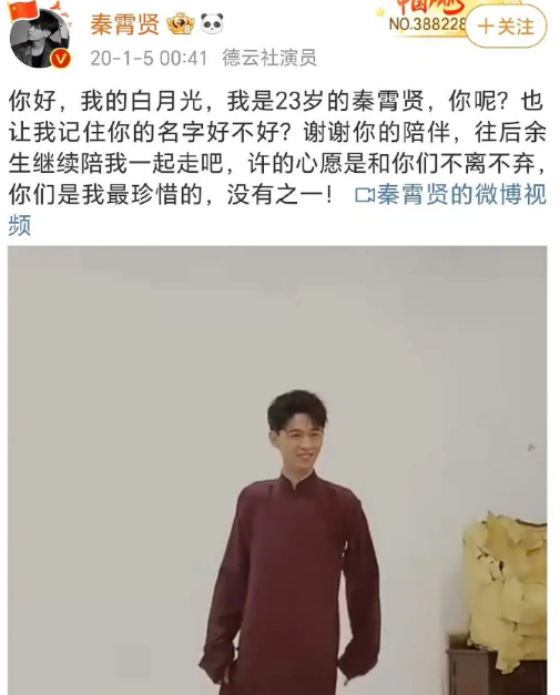 秦霄贤的文案是辛雨锡写的