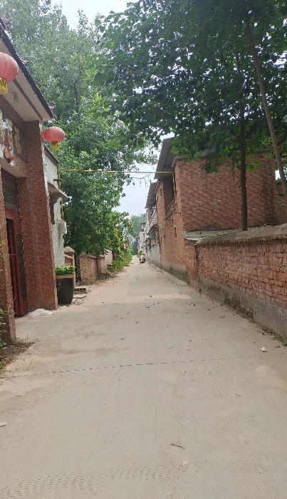 堂姐三嫁三离，嫁的一家不如一家，都怪亲妈