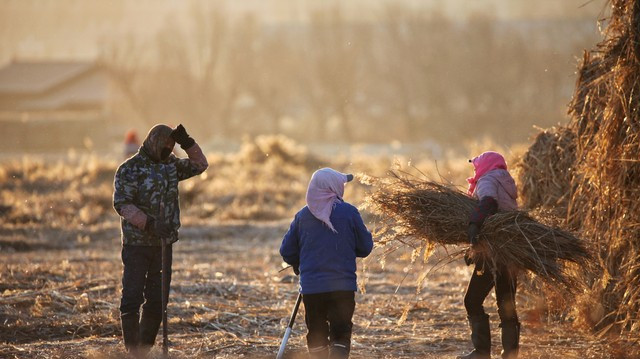 我爸是上门女婿，爷爷去世却不给披麻戴孝，只因爷爷做了一件事