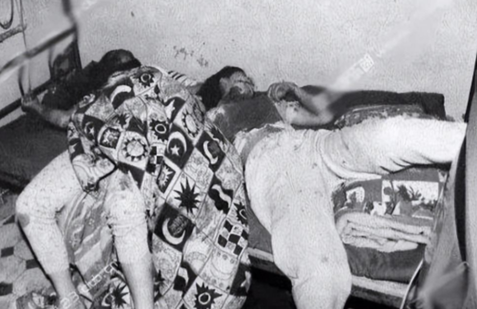 1995年湖州一家旅店发生了一起杀人案，4人惨死，其中还有一名儿童，警方追凶多年