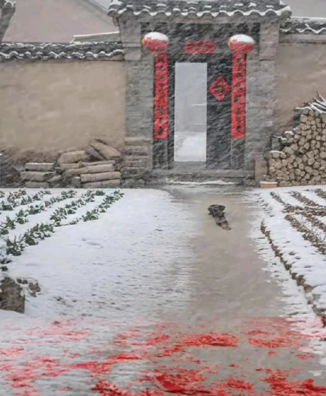 人说三人成虎，这话一点也不假。我原本不迷信也不信邪，可是听别人都说今年除夕要扔一