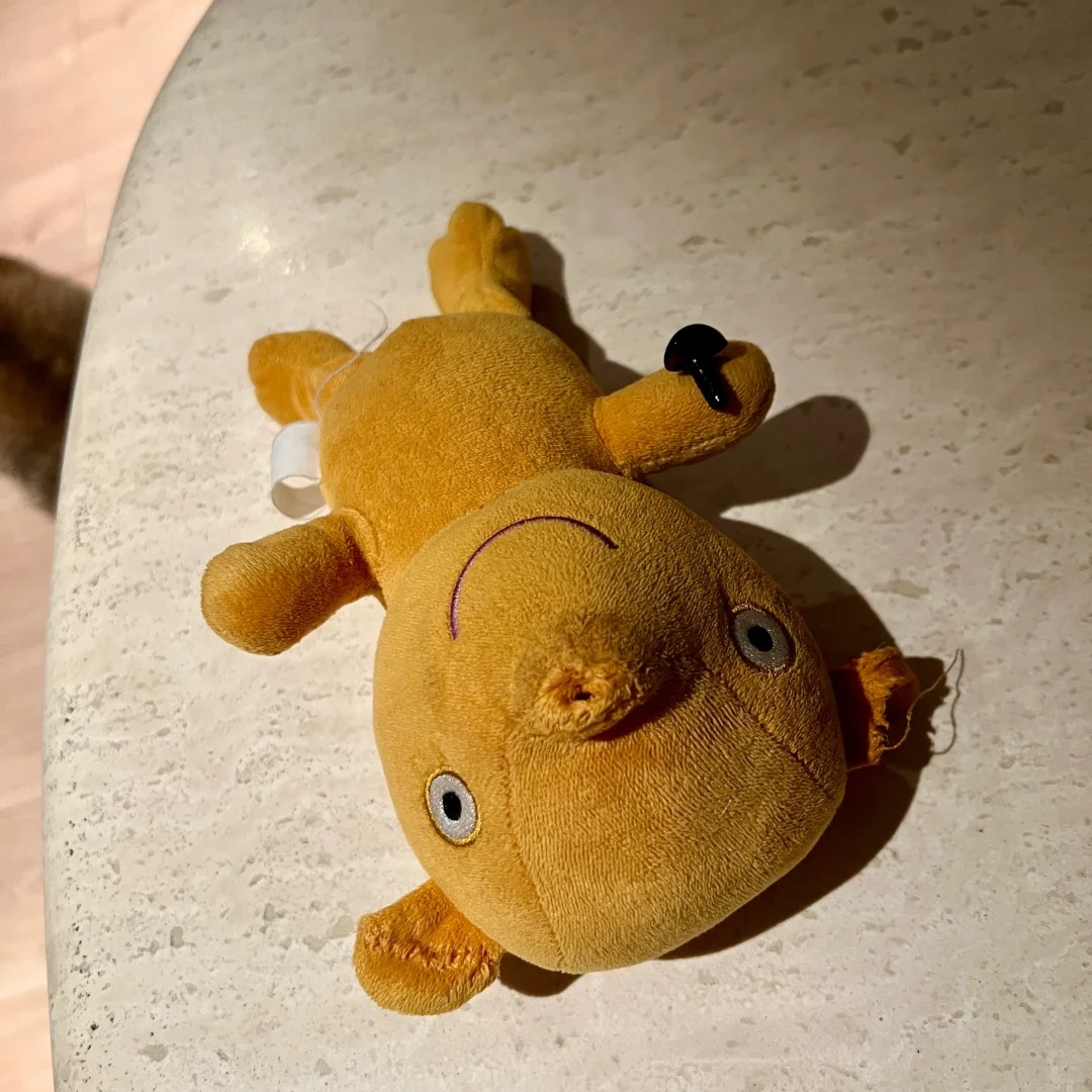 “这次是真的帮你们戒狗！！！”😭
🐶：快看我咬的烂不烂？夸我
