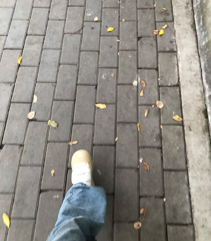 宿舍有一个女生，很会打扮自己